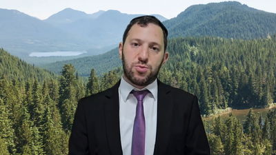 הרב נפתלי וסרמן על פרשת בהר • צפו