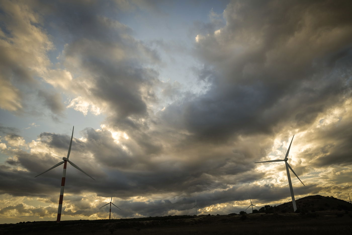 חם לכם? היום תחול עליה נוספת במידות החום | התחזית