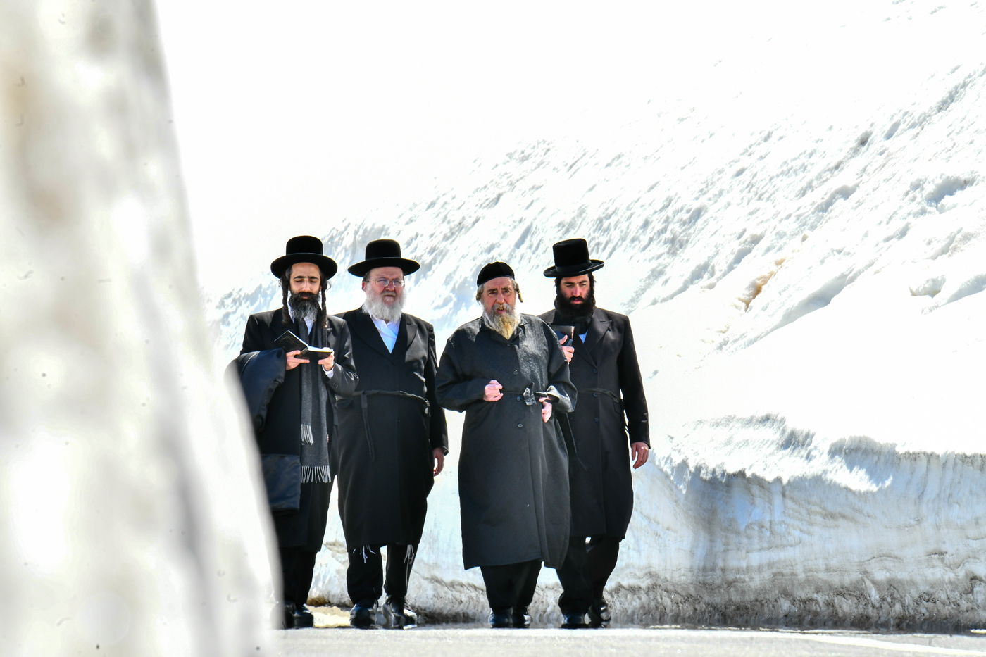 האדמו"ר מרחמסטריווקא בנאות דשא בשווייץ