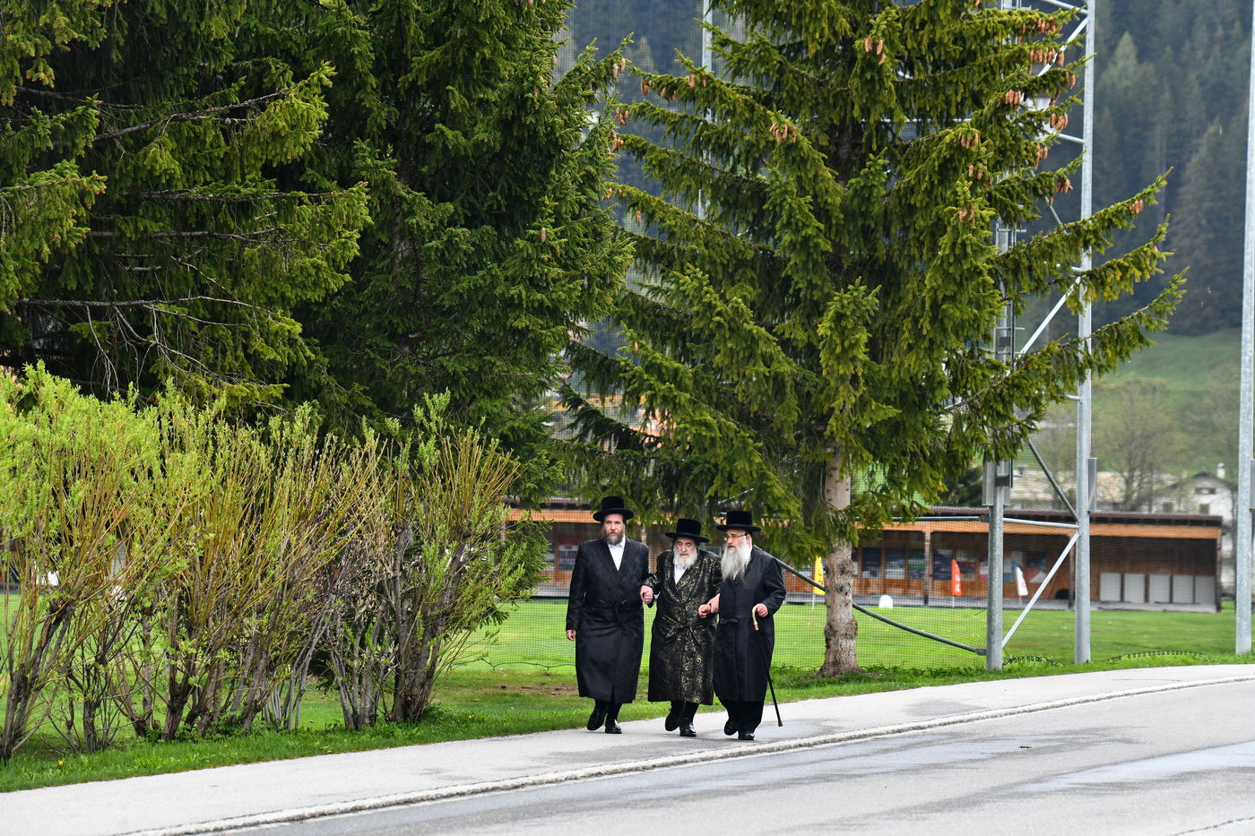 האדמו"ר מויז'ניץ בנאות דשא בשווייץ