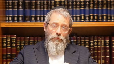 ל"ג בעומר מזווית אחרת; משמעותו העמוקה של היום לאור החסידות