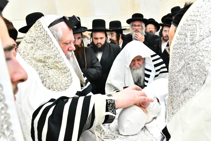 שמחת הברית בחצרות פרמישלאן - אמשינוב