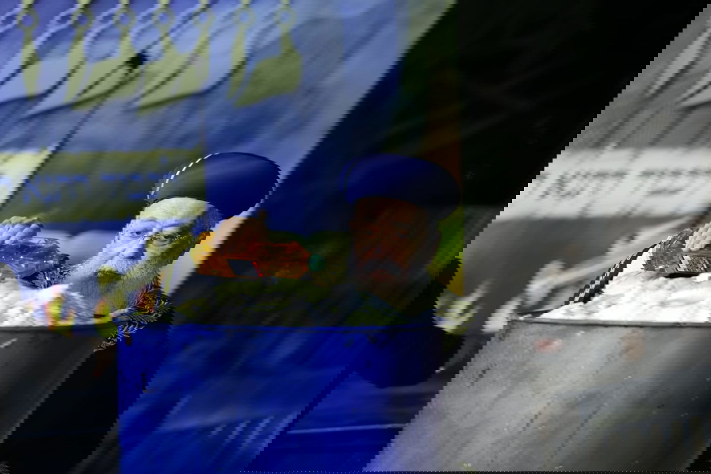 הדלקת הראשל"צ רבה של ירושלים הגאון רבי שלמה משה עמאר בסמוך לציון רשב"י במירון