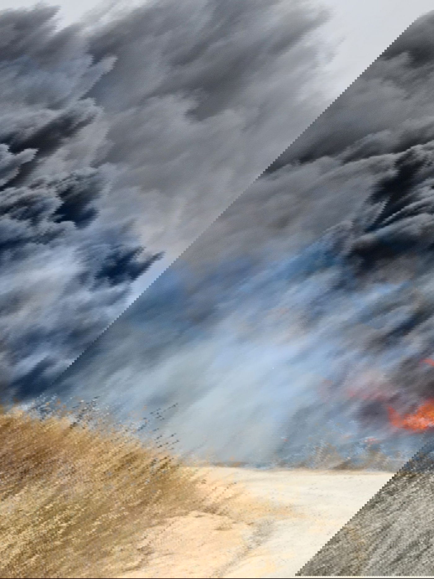 השריפה בזנוח - סמוך לרמת בית שמש ב'