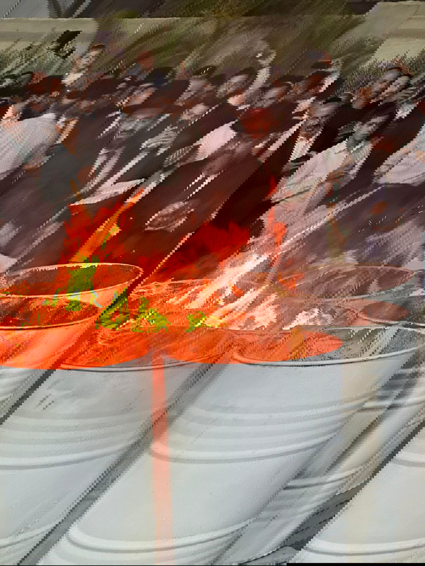 ל"ג בעומר אצל האדמו"ר רבי פנחס אבוחצירא