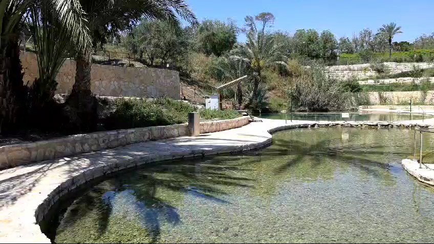 עין יהודה