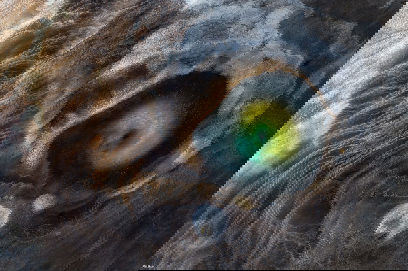 התמונה הזוכה