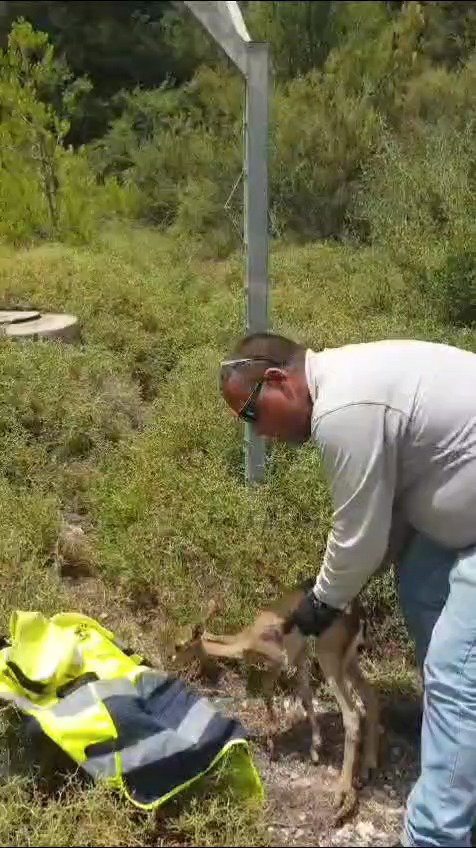 חילות העופר לטבע