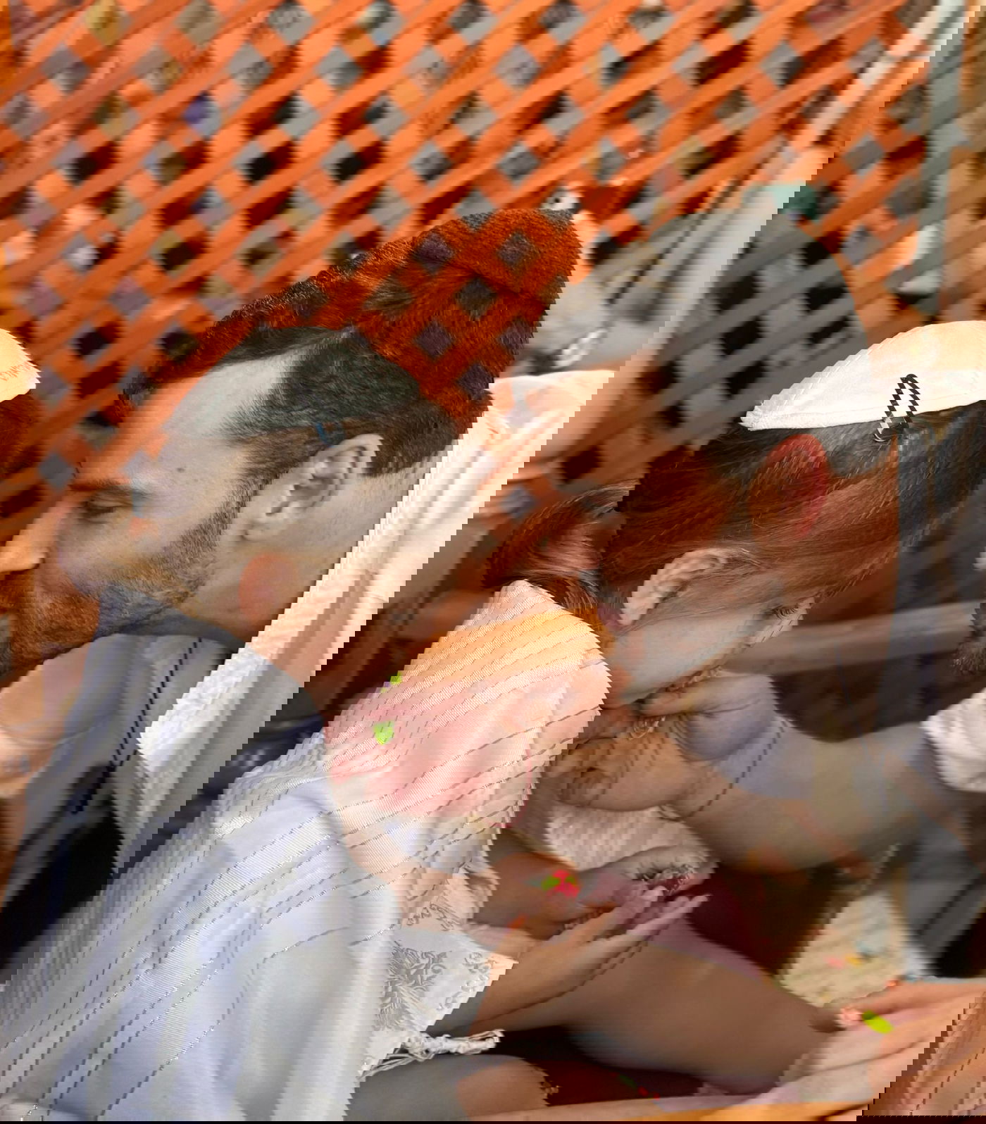 זופניק בכיכר • כל התמונות, הנייעס והחשיפות של השבוע