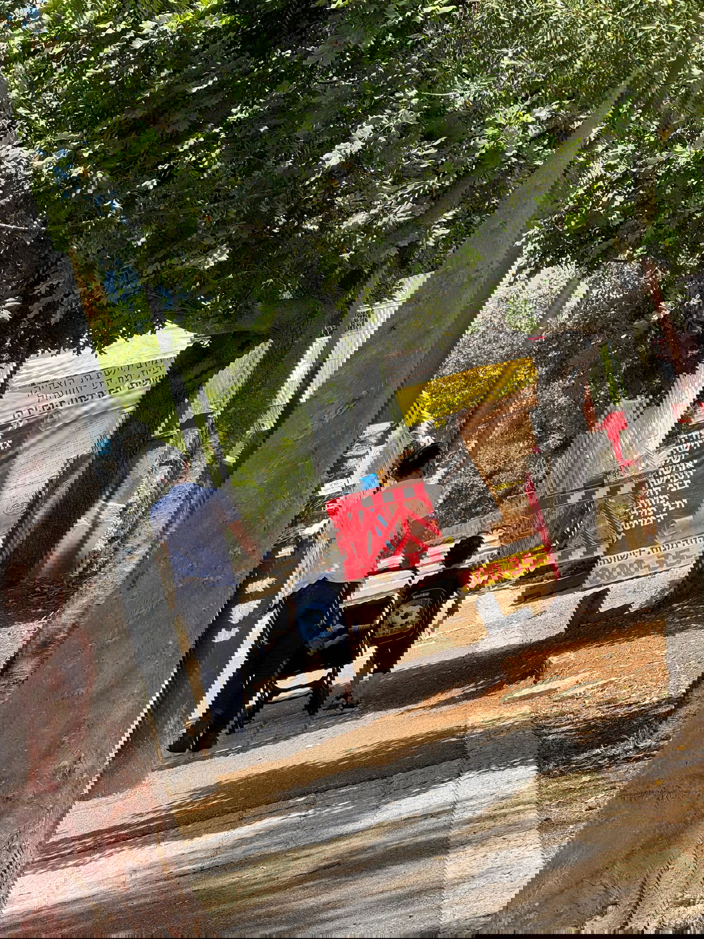 זופניק בכיכר • כל התמונות, הנייעס והחשיפות של השבוע