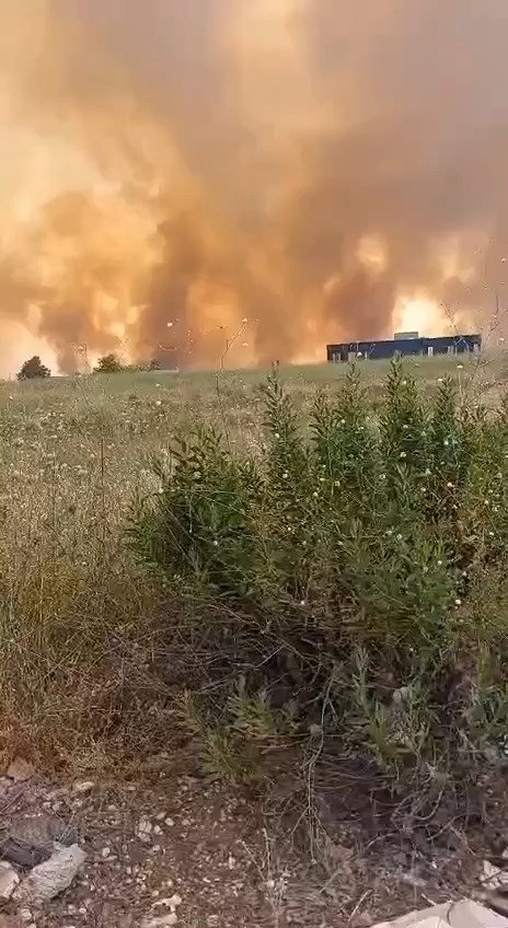 שריפות הענק ברמת הגולן סמוך לקצרין: נסראללה מבעיר את הגולן