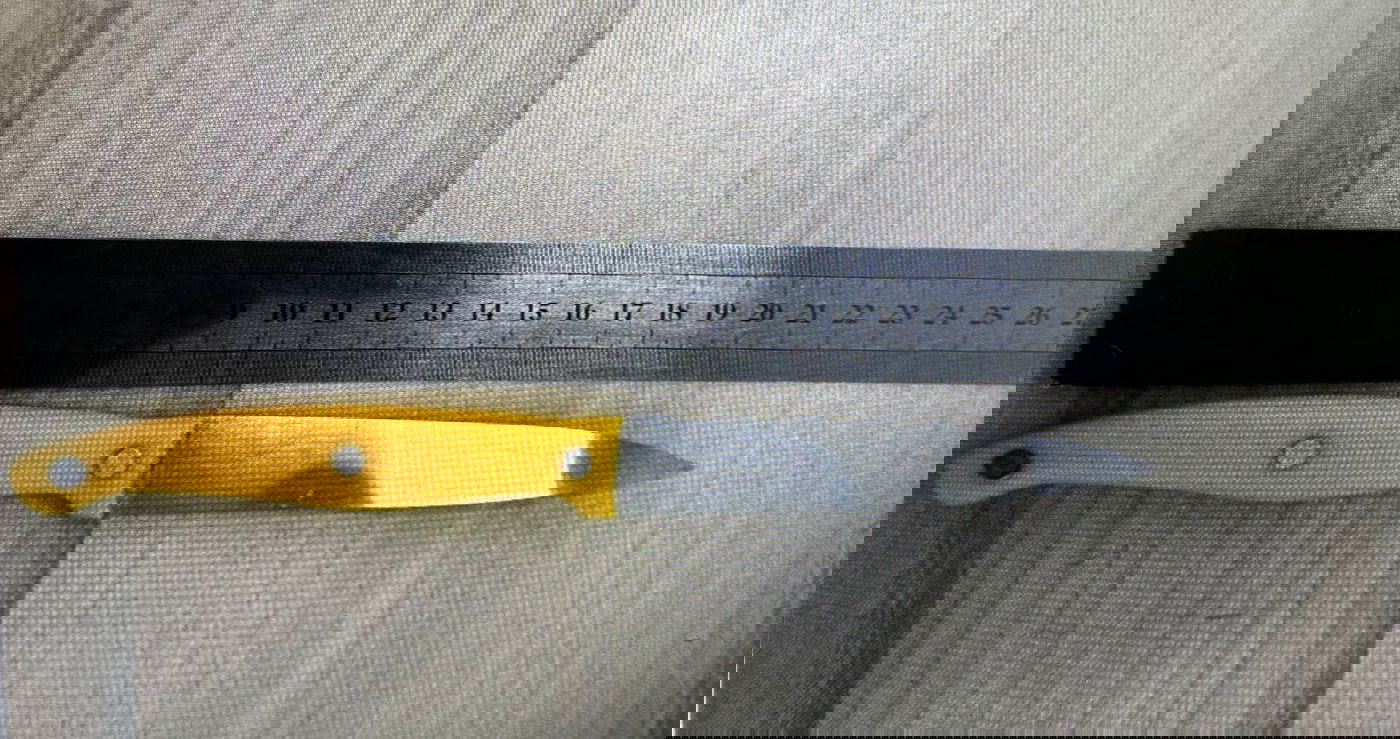 הסכין שנתפסה