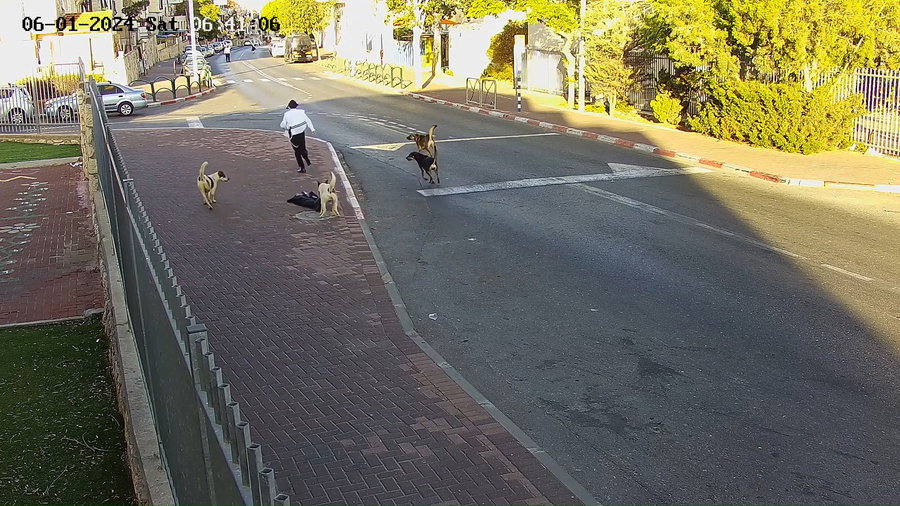 חלק מהבריחה