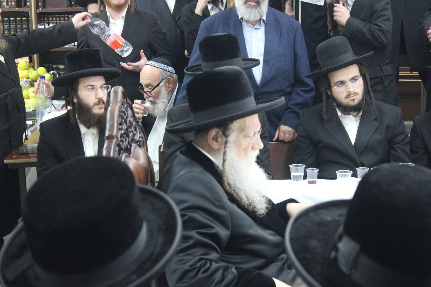 טיש הילולא במודזיץ