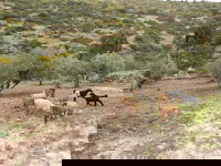 חם ויבש מהרגיל לעונה 