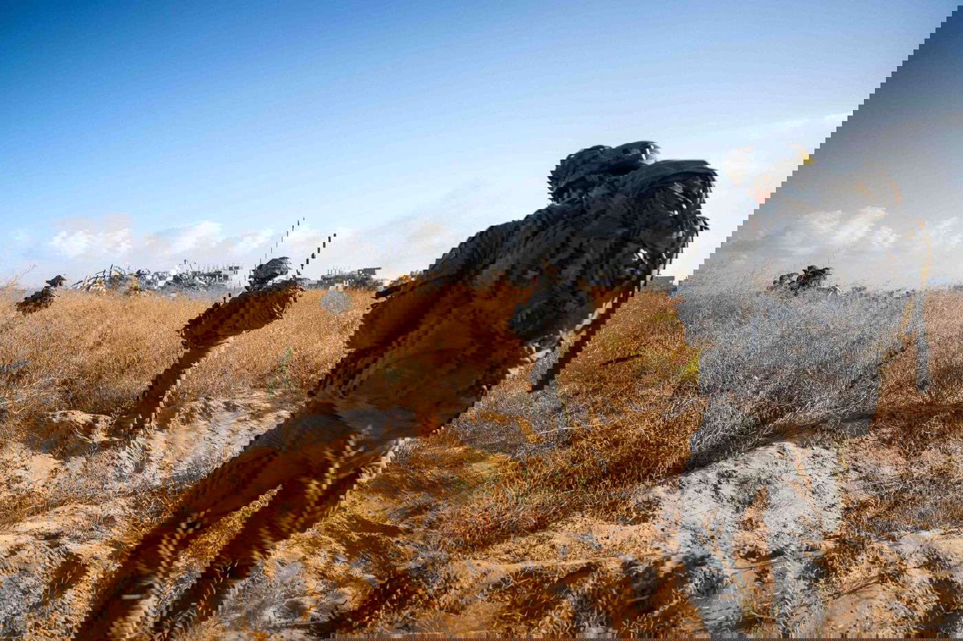 צה"ל ממשיך לפעול ברפיח: טילי אר-פי-ג'י אותרו במבנה של חמאס | מחבל נוסף חוסל