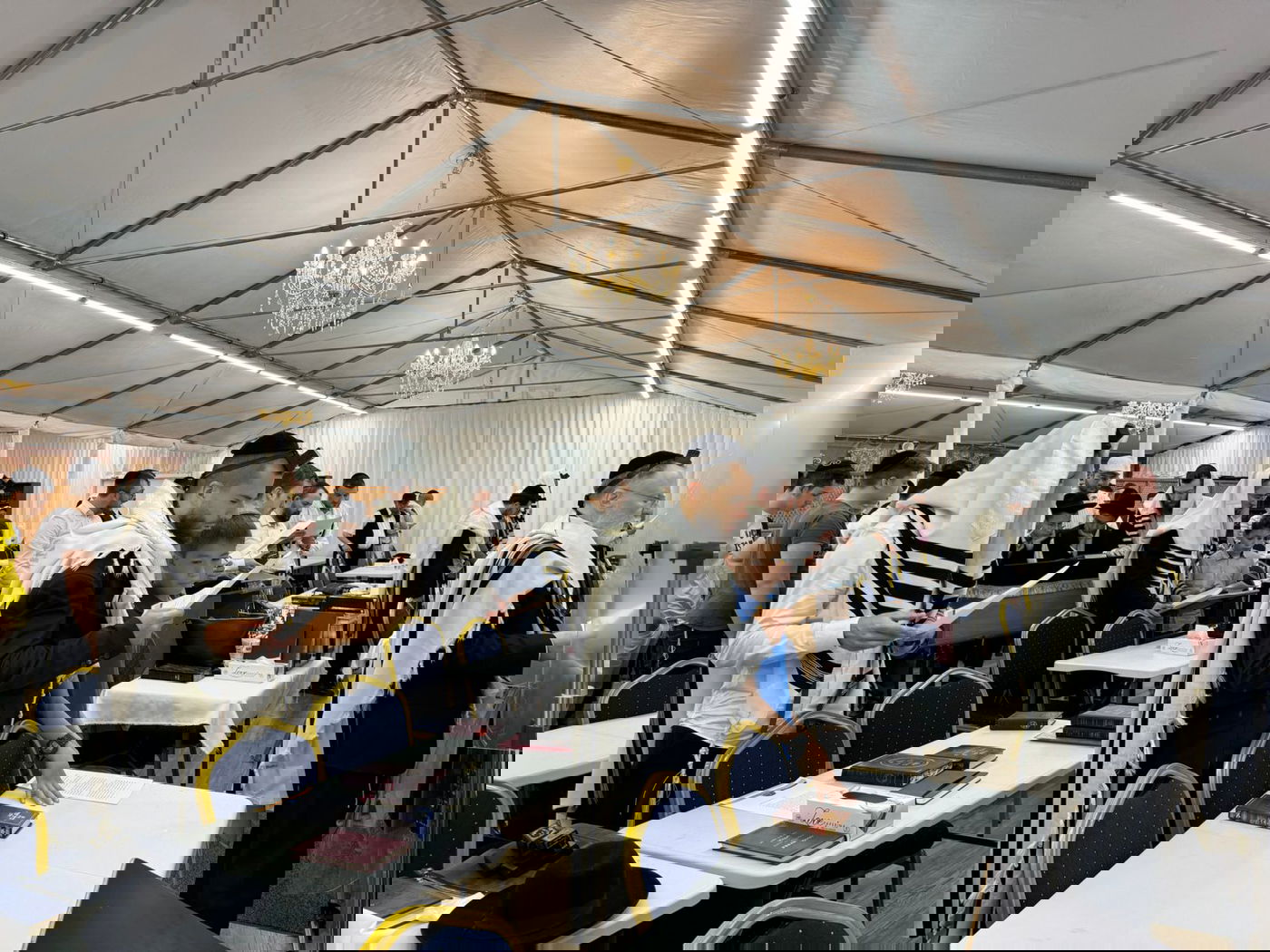 תיעודים מרגשים מהעולם