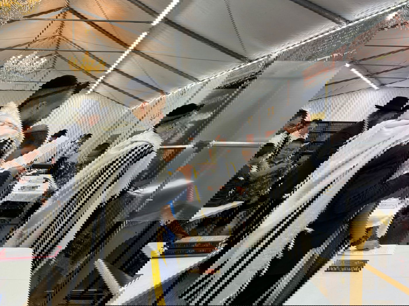 תיעודים מרגשים מהעולם