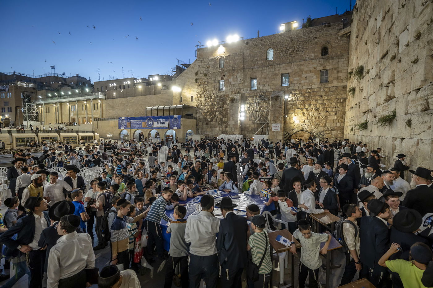 תיעודים מרגשים מהעולם