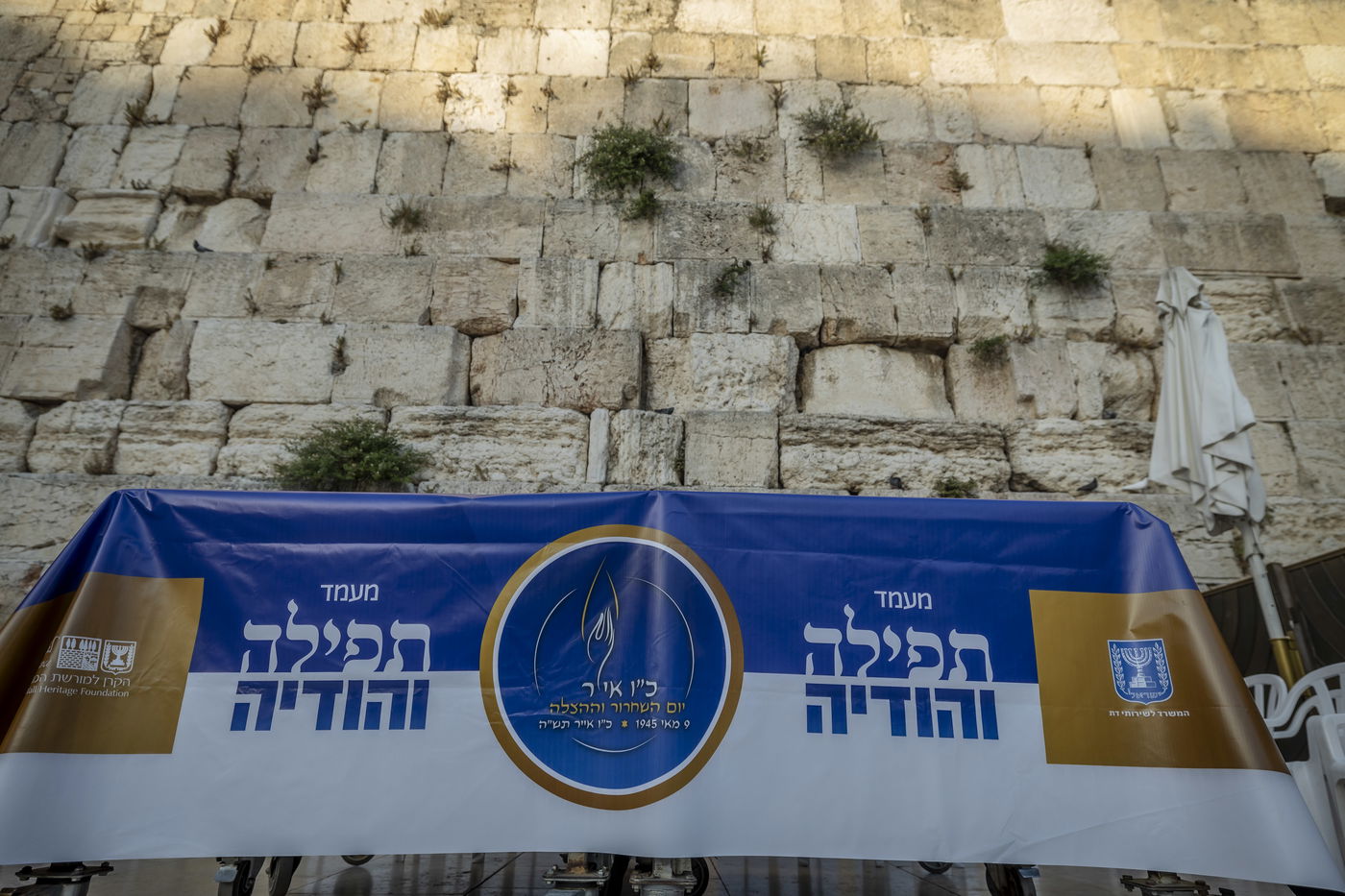 תיעודים מרגשים מהעולם