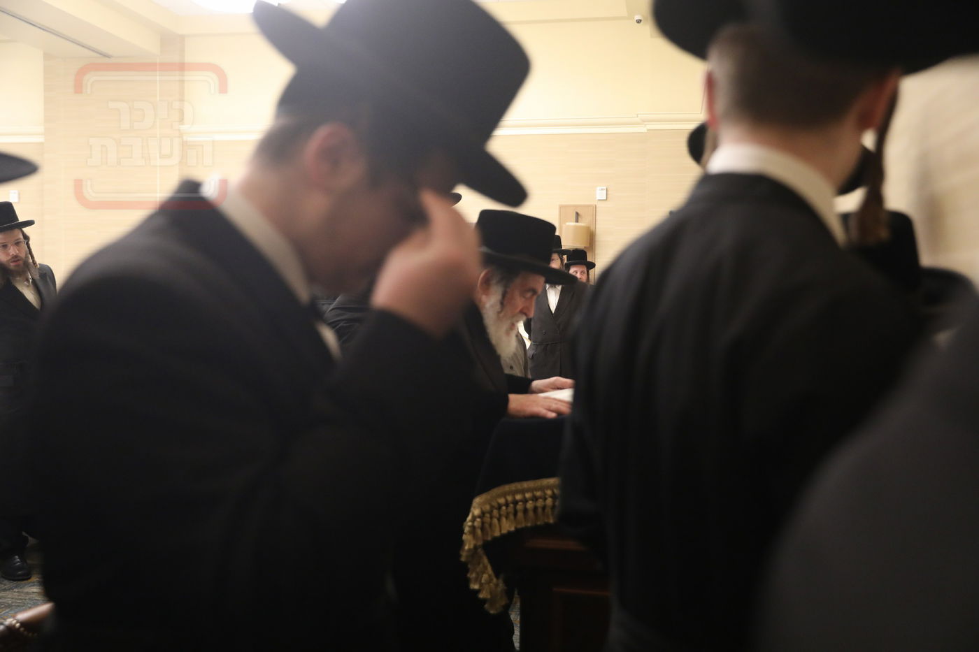 האדמו"ר מויז'ניץ בהילולת ה'תורת חיים' בארה"ב