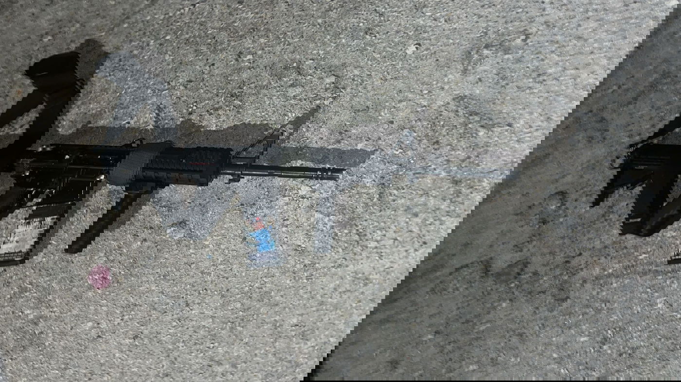 הנשק שהוחרם