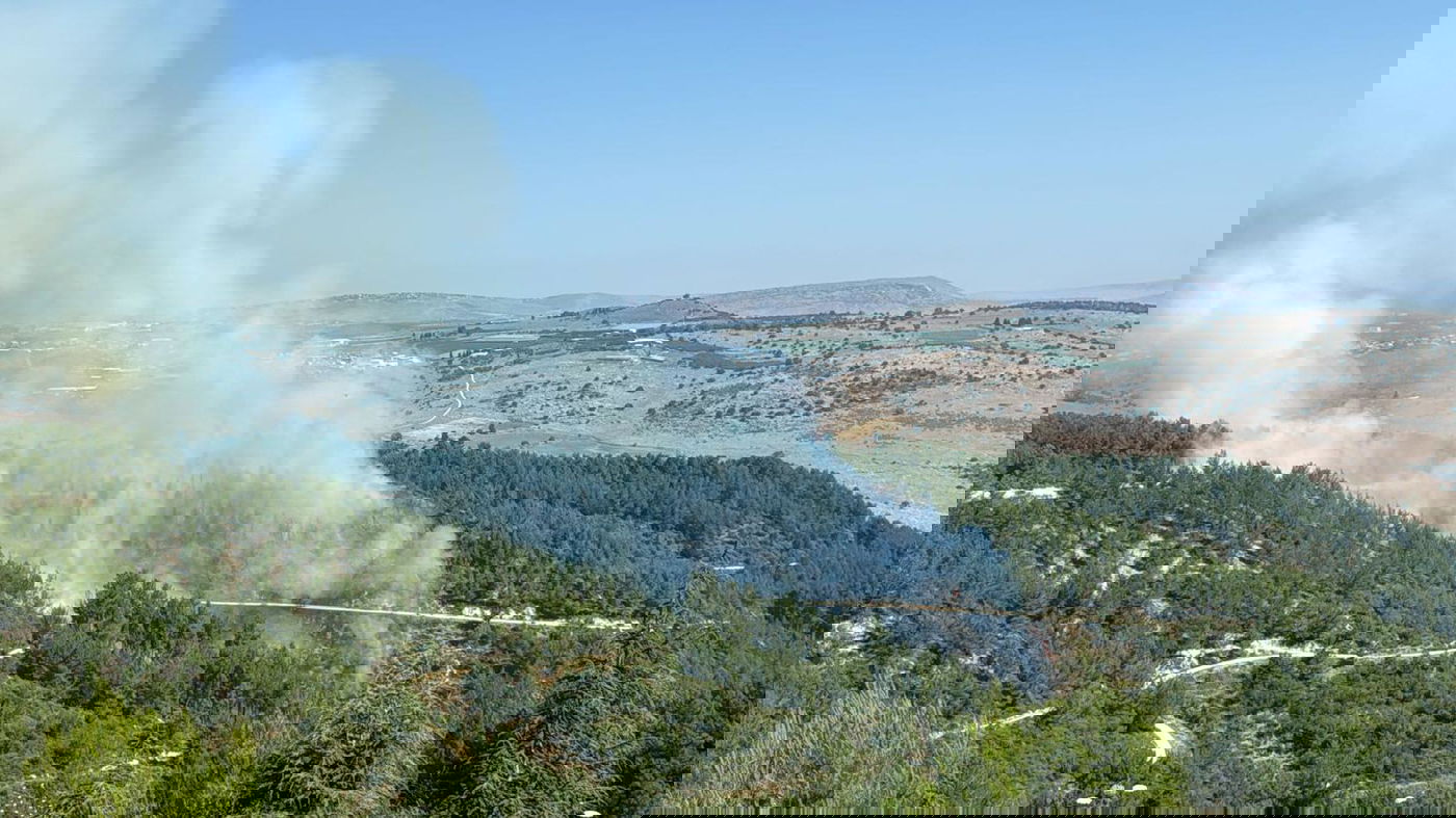 השריפה ביער ביריה