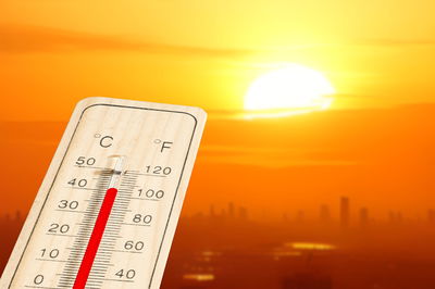 היועץ הדיגיטלי למזגן מותאם אישית