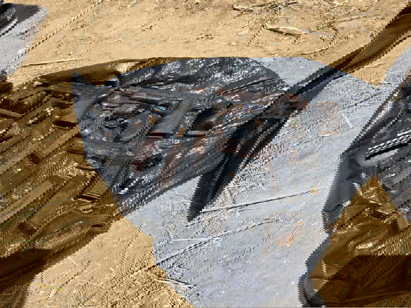 "ידיעת הזהב" שהסגירה את מחבוא העבריינים - בחורשה ליד קרית מלאכי | צפו