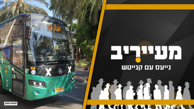 שירת נשים באוטובוס? זה מה שעשו החסידים לנהג הסורר • מעייריב