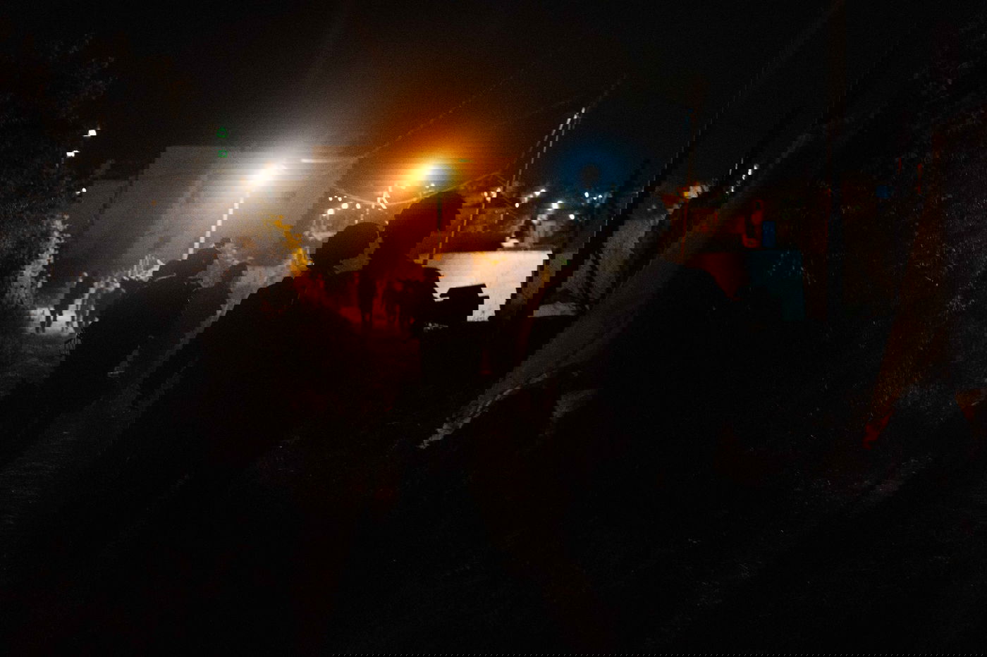 תיעוד מהפעילות