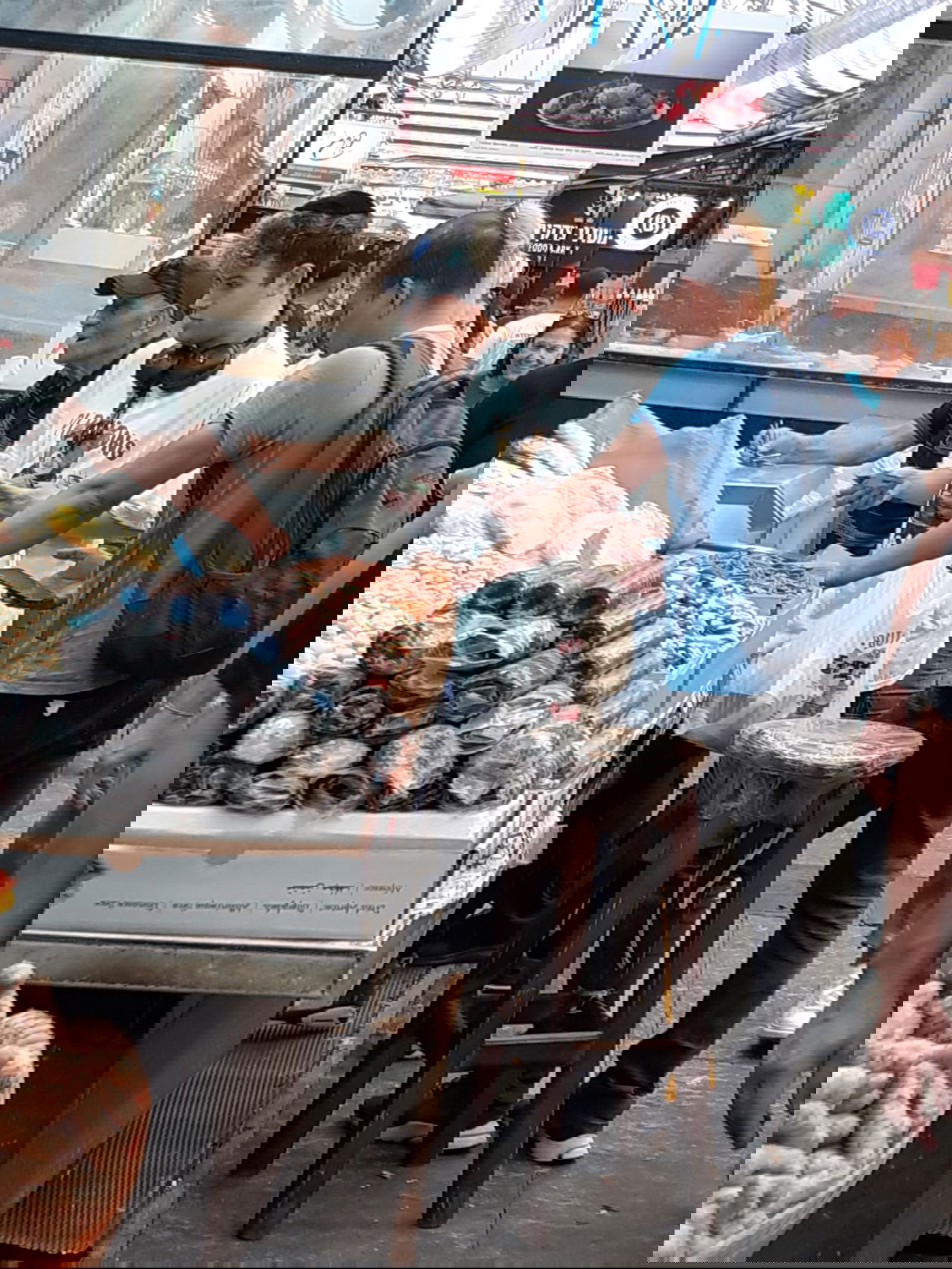 זופניק בכיכר • כל התמונות, הנייעס והחשיפות של השבוע