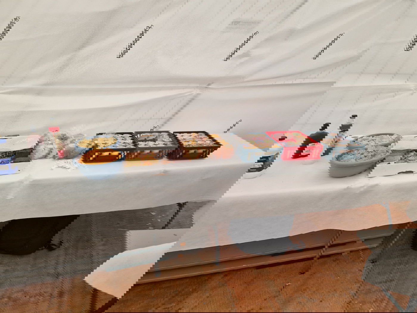 עליה לציון הגה"ק רבי רפאל ריס זצ"ל בשווייץ