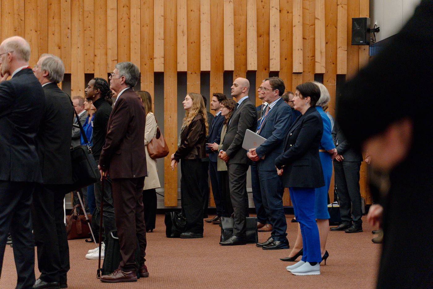 תיעוד ממועצת אירופה