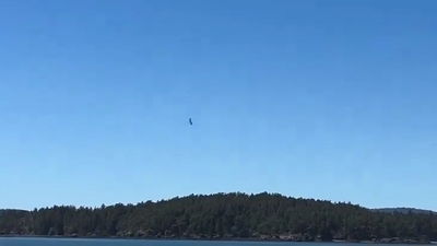 האסטרונאוט שהקיף את הירח התרסק עם מטוסו | תיעוד  