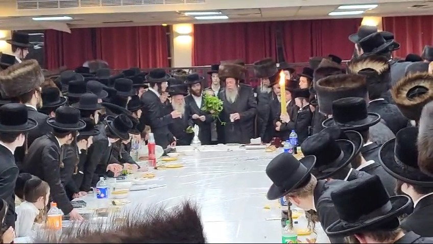 האדמו"ר מזוויעהיל במוצאי שבת התאחדות