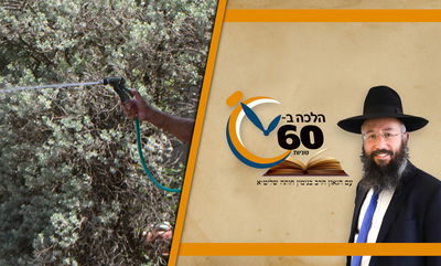 שימו לב: זה המנהג של חג השבועות - שנוגד את ההלכה • צפו 