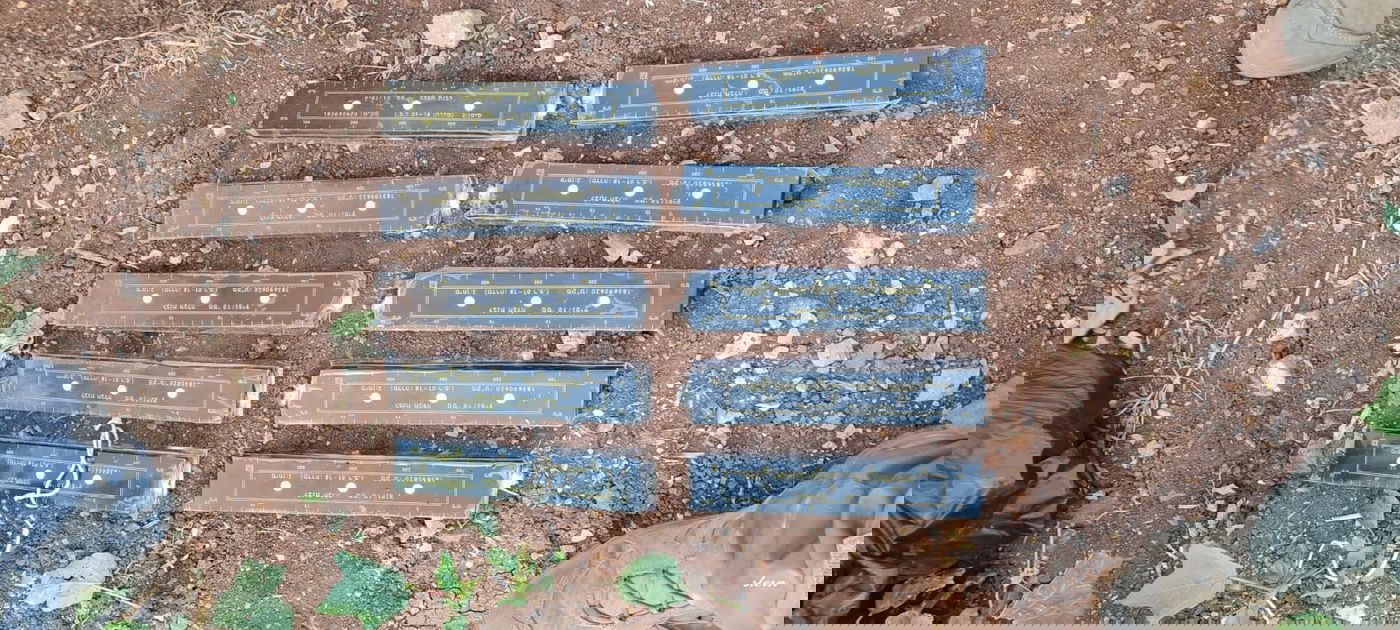 לבנות החבלה