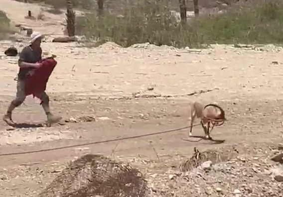 מאמצי החילוץ