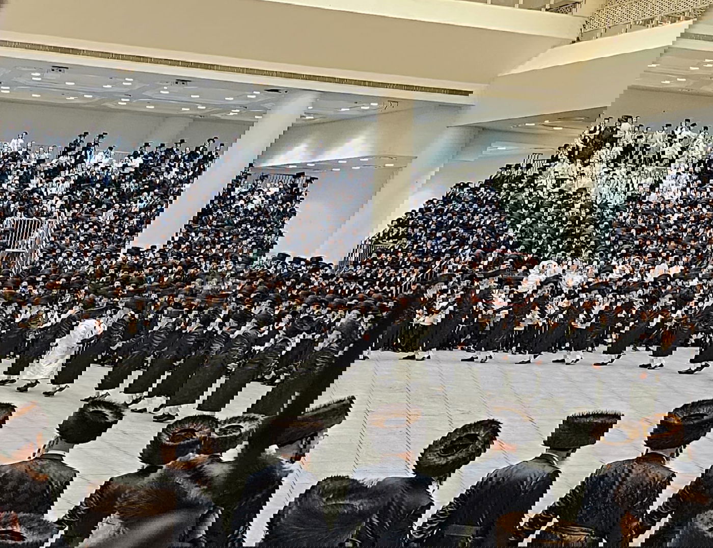 חג השבועות בצל האדמו"ר מויז'ניץ