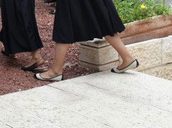 מעטפת מותאמת, ליווי אישי ותואר אקדמי במסלולים נבחרים