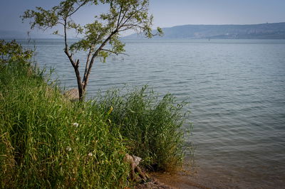 התחזית: הקלה בעומסי החום אך עדיין יהיה חם מהרגיל