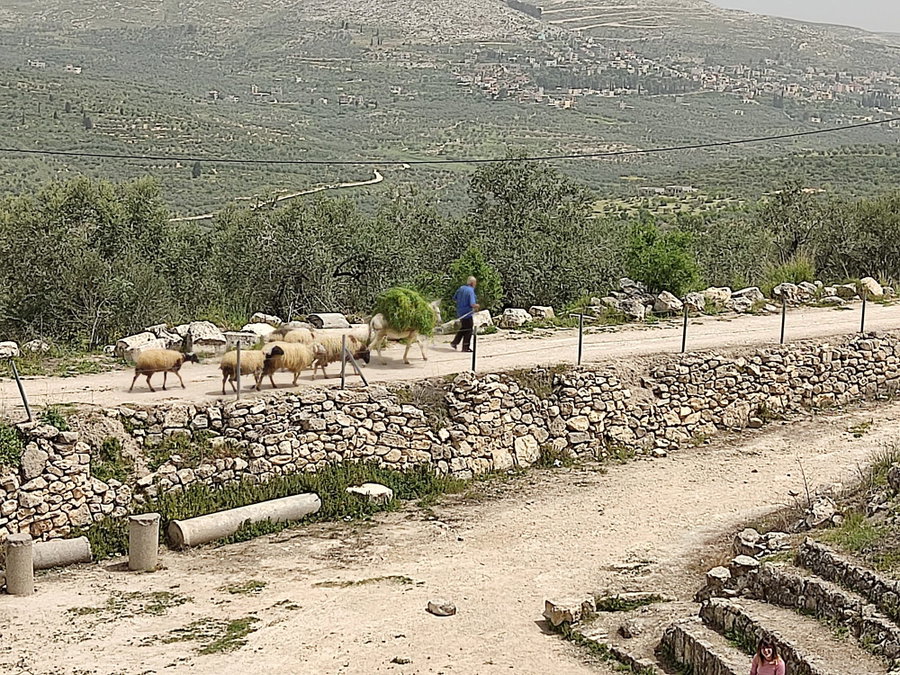 סבסטיה