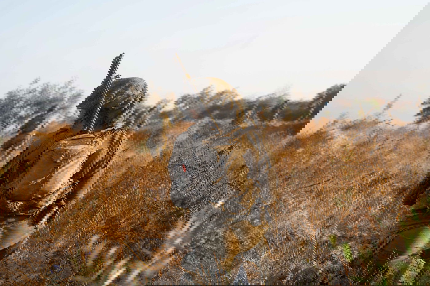 אחרי יממה שלימה בלי אזעקות בצפון, ויירוט בעכו - צה"ל ביצע סיכול ממוקד בלבנון