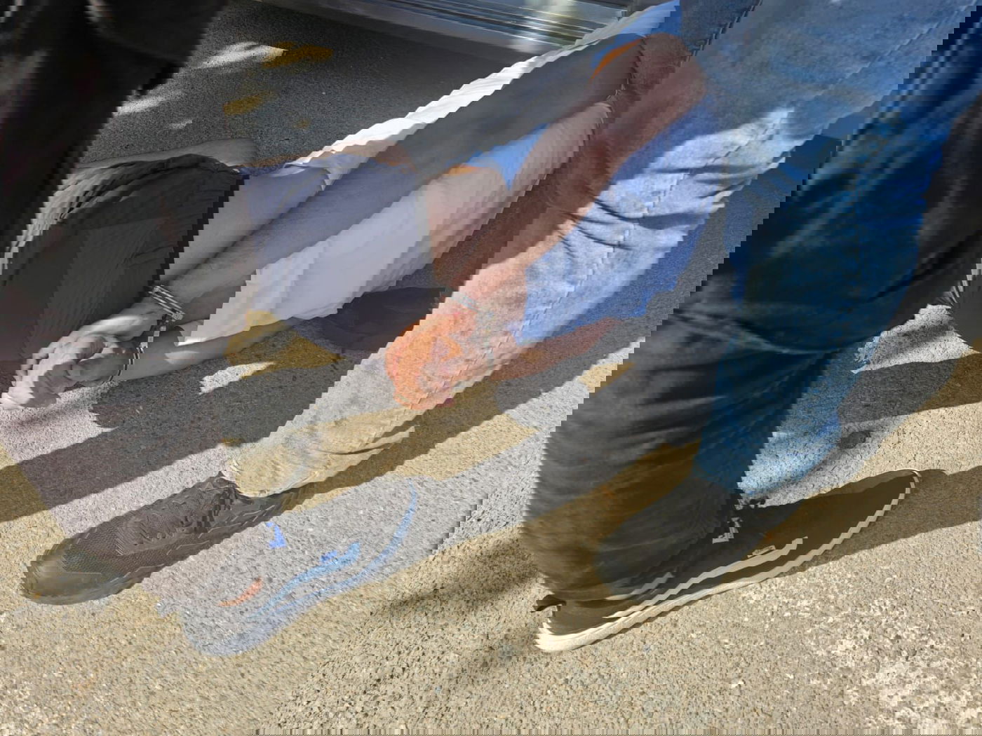 סיכול ההברחה