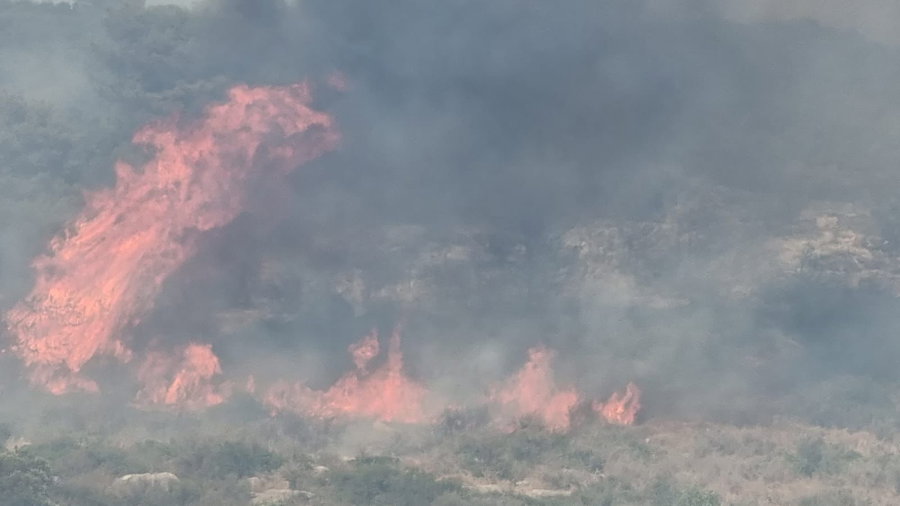 הטרנד החם: ישיבה לבוגרי התיכונים - זו הישיבה החדשה שתוקם • מעייריב