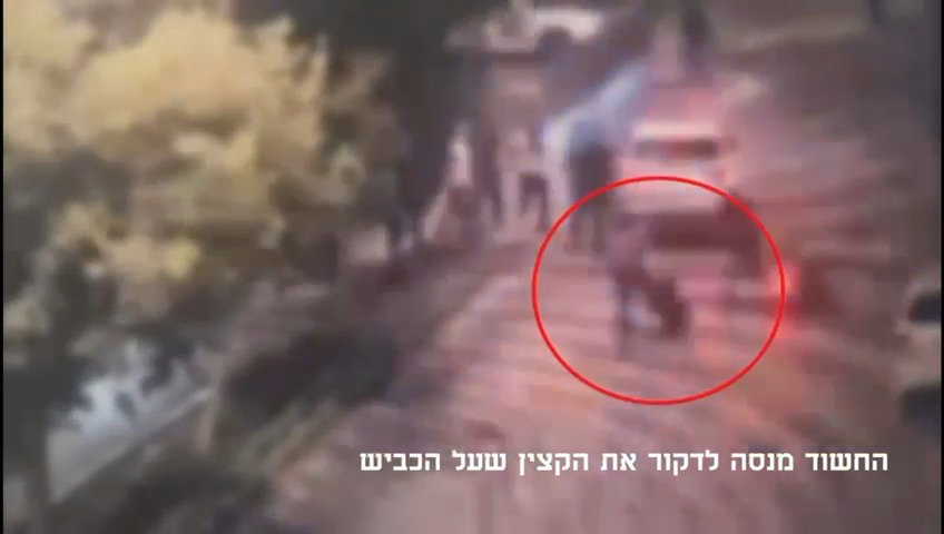 צפו בתיעוד