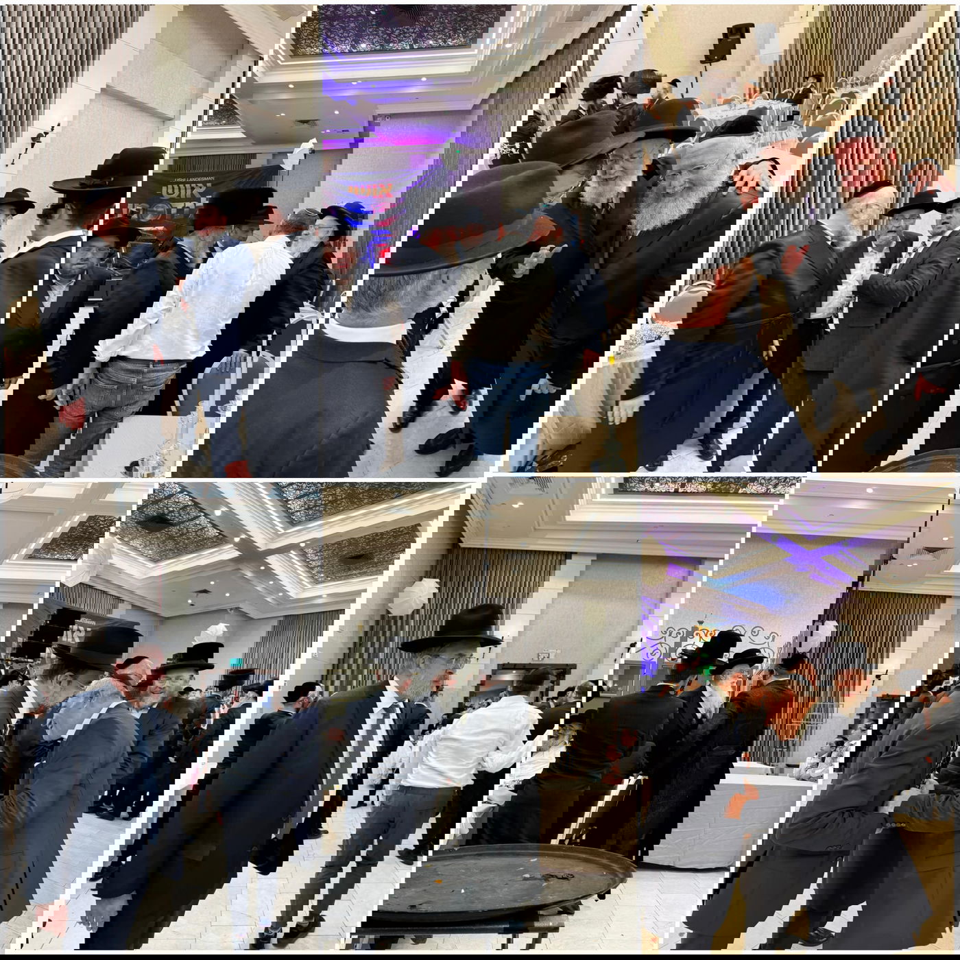 זופניק בכיכר • כל התמונות, הנייעס והחשיפות של השבוע