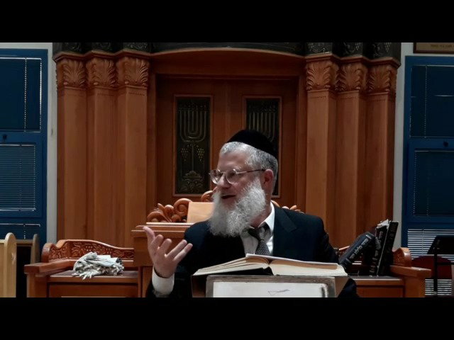 הרב אברהם יוסף שוורץ, על פרשת בהעלותך