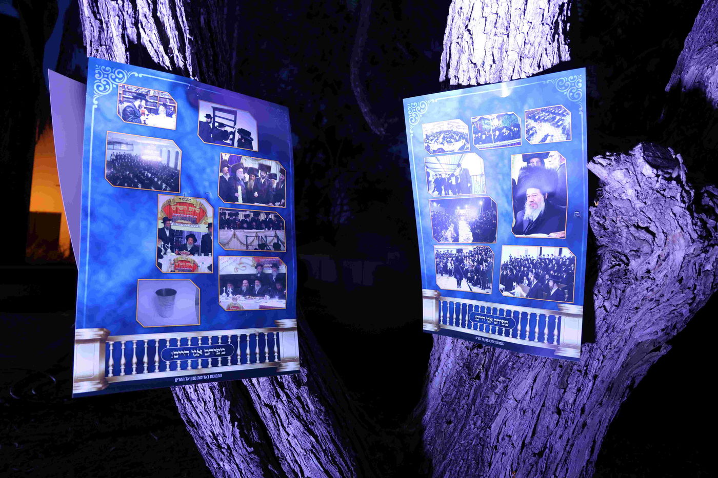 כינוס 'חיינו' בחצה"ק זוויעהיל 